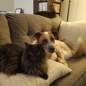 Fundraising Page: Sara Vance